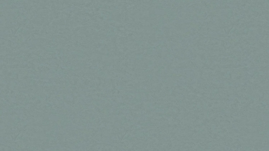 PVC Linosom 2,5mm 3103 200cm