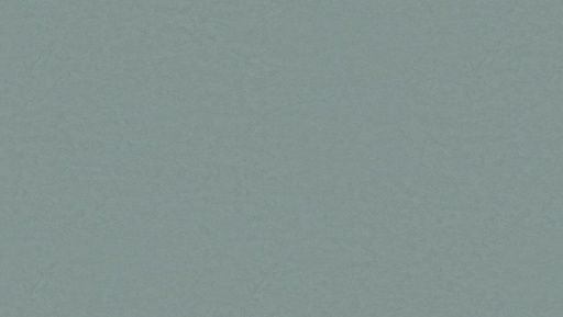 [PVCLINOSOM_3103] PVC Linosom 2,5mm 3103 200cm