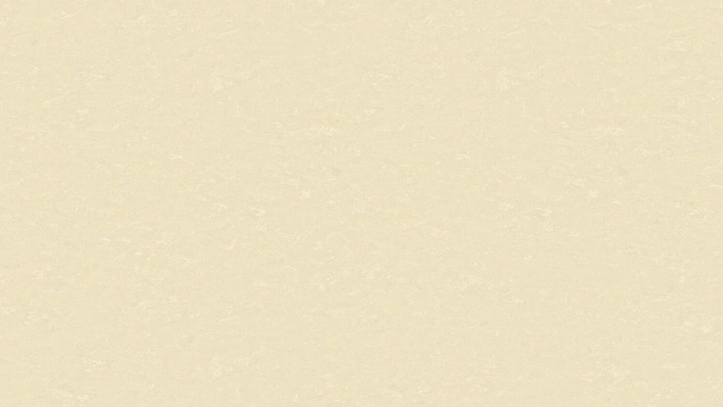 PVC Linosom 2,5mm 3109 200cm