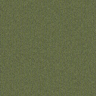 Quattro 028 Tapijttegel Elevation III Kleur 9017 50x50cm Pak à 5m2