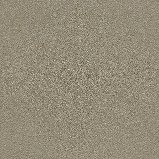 Quattro 028 Tapijttegel HEUGA 725 Kleur 2043 50x50cm Pak à 4m2