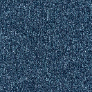 Quattro 028 Tapijttegel OUTPUT LOOP Kleur 9011 50x50cm Pak à 5m2