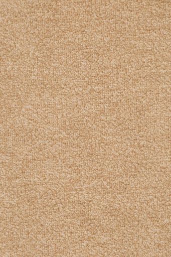 [TEPASTR4_231] Sprint 027 Tapijt Astro 400cm Kleur 231 x 400