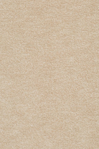[TEPASTR4_241] Sprint 027 Tapijt Astro 400cm Kleur 241 x 400