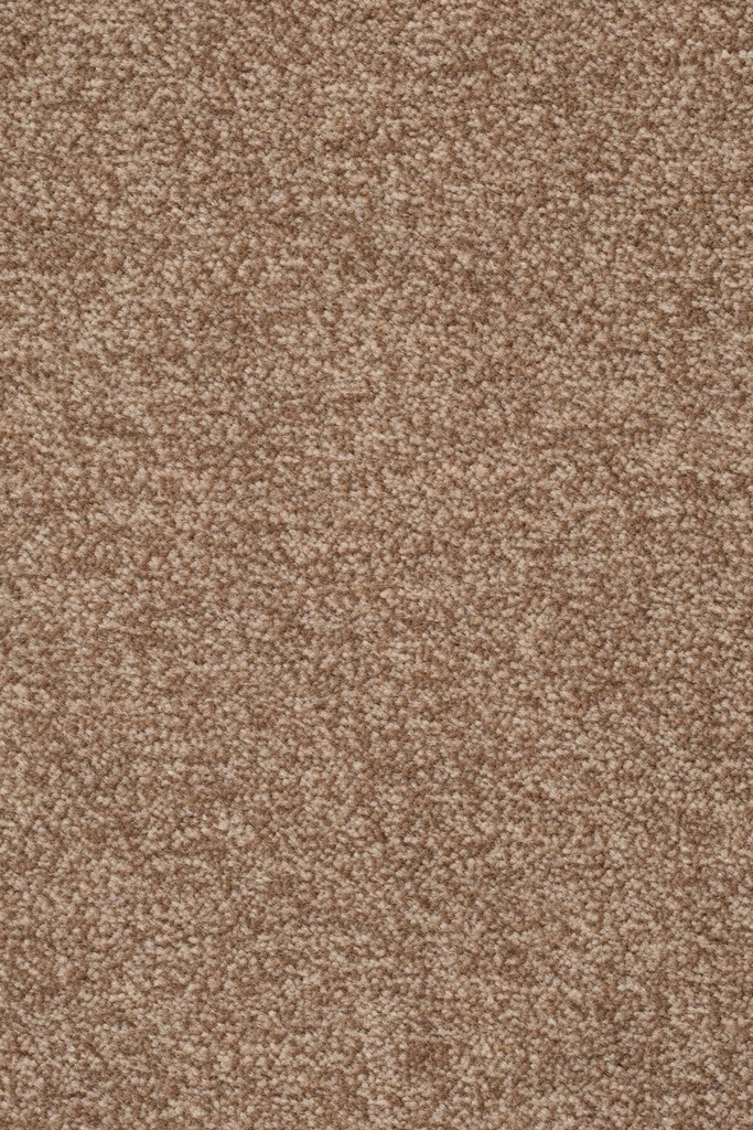 Sprint 027 Tapijt Astro 500cm Kleur 221 x 500