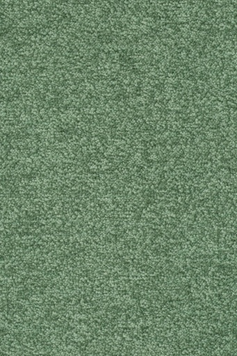 [TEPASTR5_630] Sprint 027 Tapijt Astro 500cm Kleur 630 x 500