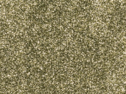 [TEPBORNEO5_021] Sprint 027 Tapijt Borneo 500cm Kleur 021 x 500