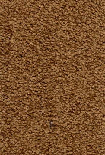 [TEPDAMOS4_031] Sprint 027 Tapijt Damos 400cm Kleur 31 x 400