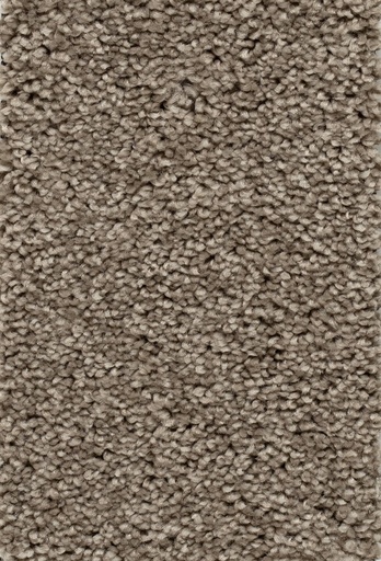[TEPDAMOS5_065] Sprint 027 Tapijt Damos 500cm Kleur 65 x 500