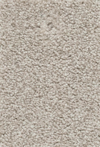 [TEPDAMOS5_071] Sprint 027 Tapijt Damos 500cm Kleur 71 x 500