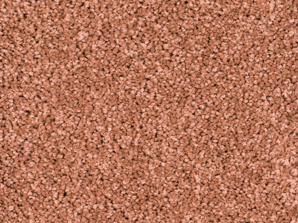 Sprint 027 Tapijt Lara 500cm Kleur 010 x 500