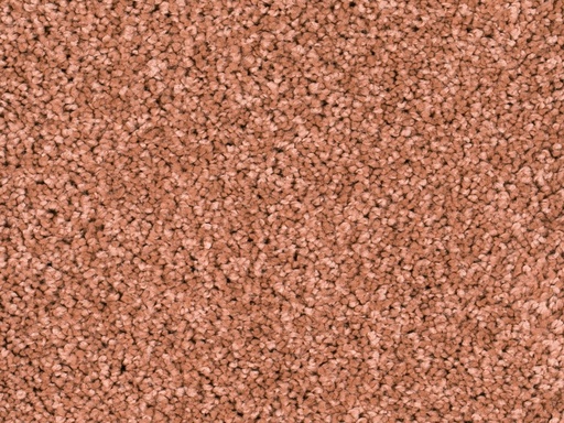 [TEPLARA05_010] Sprint 027 Tapijt Lara 500cm Kleur 010 x 500