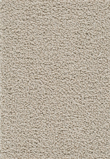 [TEPAMBR4_030] Trend 026 Tapijt AMBRA 400cm Kleur 30 x 400,0