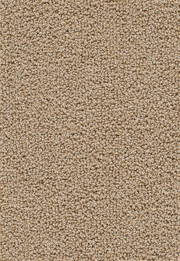 [TEPAMBR4_034] Trend 026 Tapijt AMBRA 400cm Kleur 34 x 400,0