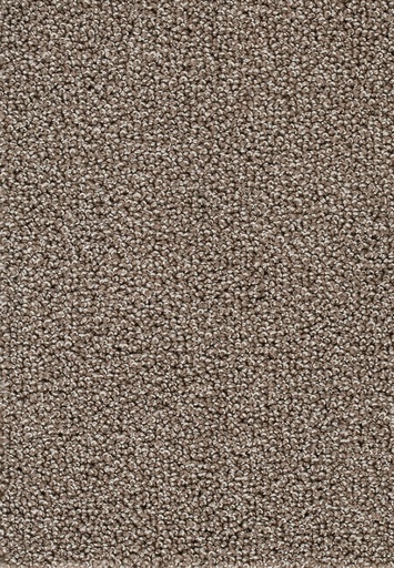 [TEPAMBR4_049] Trend 026 Tapijt AMBRA 400cm Kleur 49 x 400,0