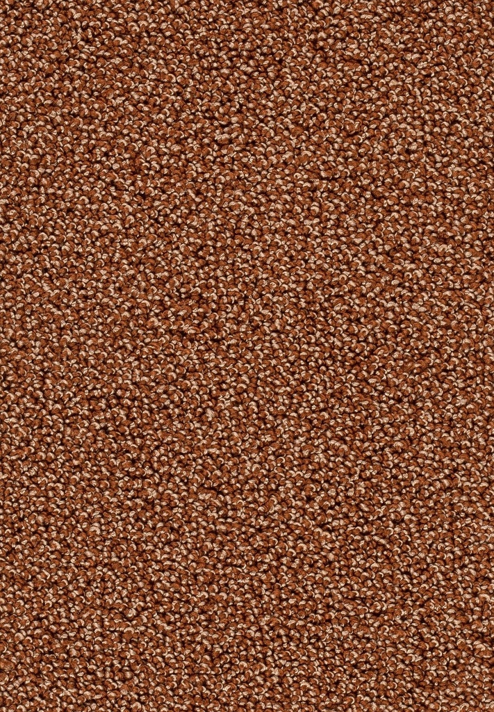 Trend 026 Tapijt AMBRA 500cm Kleur 85 x 500,0