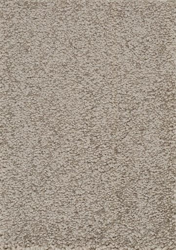 [TEPPLAZ05_075] Trend 026 Tapijt PLAZA 500cm Kleur 75 x 500,0