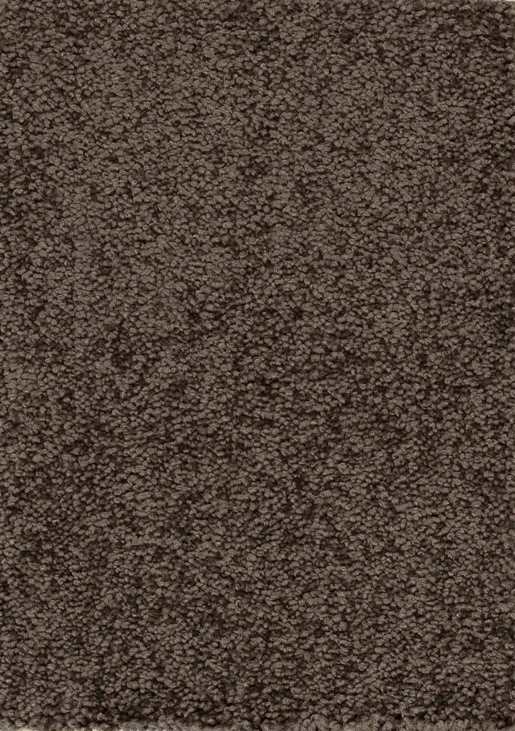 Trend 026 Tapijt PLAZA 500cm Kleur 94 x 500,0