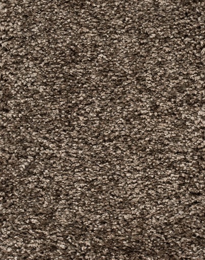 [TEPRIGO4_141] Trend 026 Tapijt RIGOLETTO 400cm Kleur 141 x 400,0