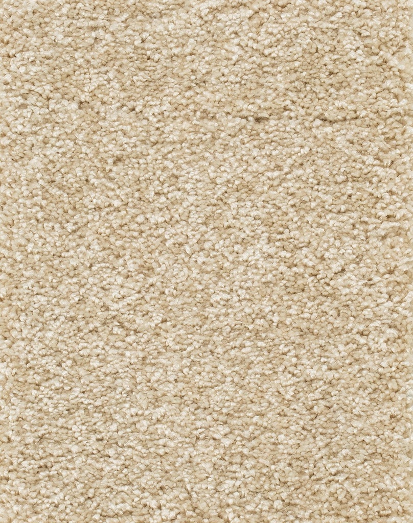 Trend 026 Tapijt RIGOLETTO 400cm Kleur 33 x 400,0