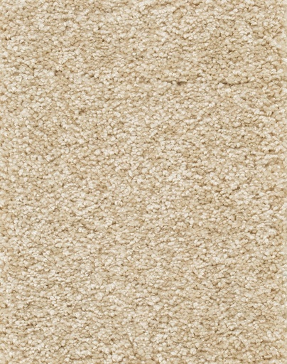 [TEPRIGO4_033] Trend 026 Tapijt RIGOLETTO 400cm Kleur 33 x 400,0