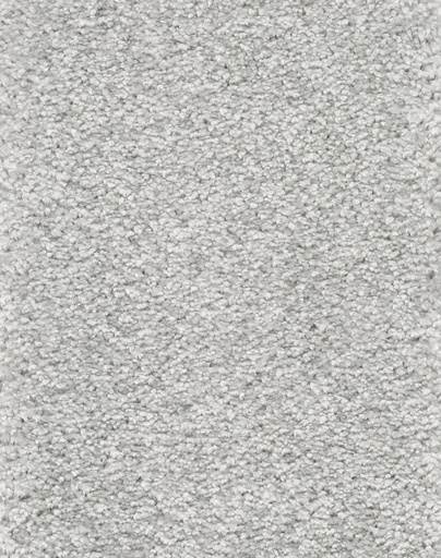 [TEPRIGO4_095] Trend 026 Tapijt RIGOLETTO 400cm Kleur 95 x 400,0