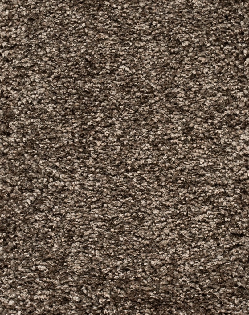 Trend 026 Tapijt RIGOLETTO 500cm Kleur 141 x 500,0