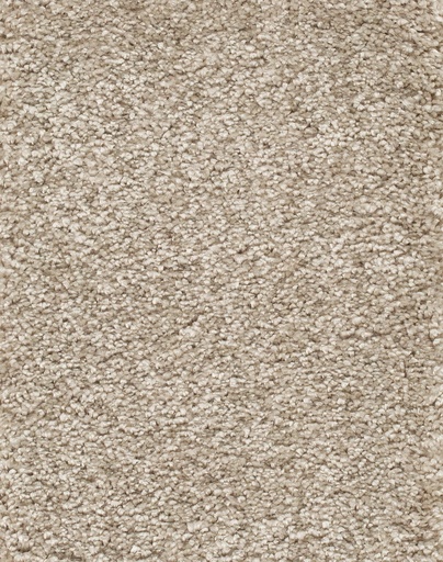 [TEPRIGO5_034] Trend 026 Tapijt RIGOLETTO 500cm Kleur 34 x 500,0