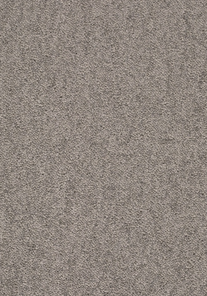 Balance 25 Tapijt ELYSEE 500cm Kleur 880 x 500
