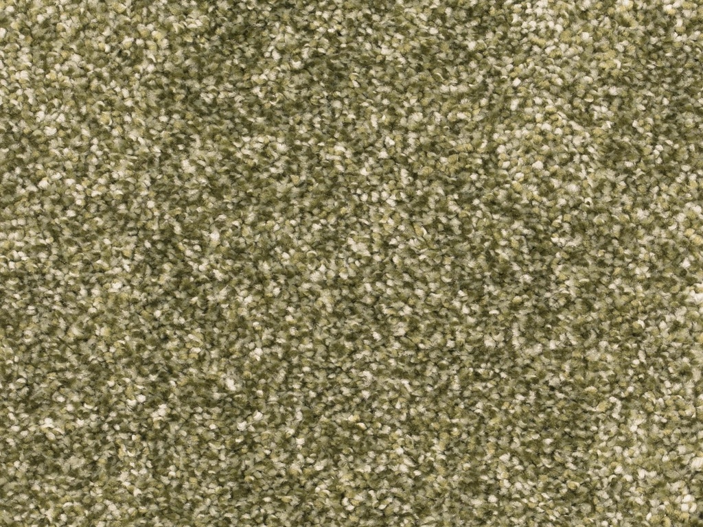 Homeline 27 Tapijt Ares 400 cm Kleur 21