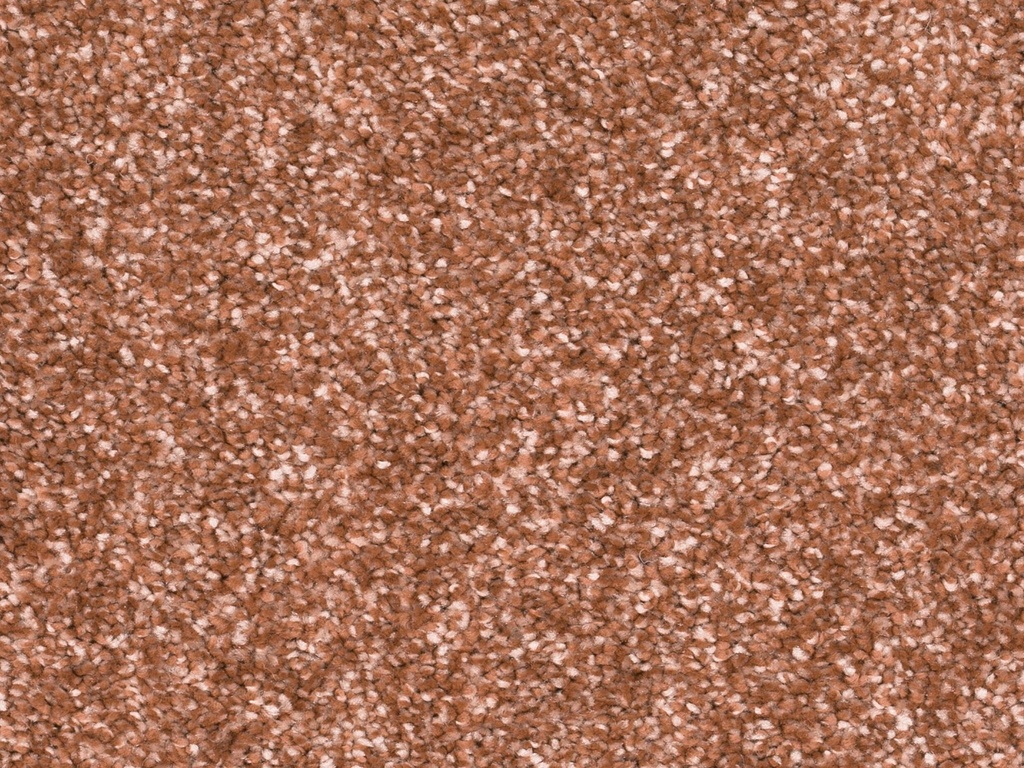 Homeline 27 Tapijt Ares 400 cm Kleur 80