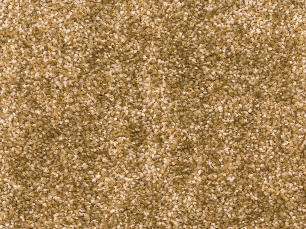 Homeline 27 Tapijt Ares 500 cm Kleur 54
