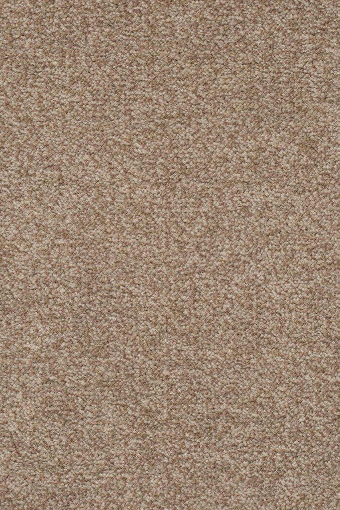 Homeline 27 Tapijt Artus 500cm Kleur 262