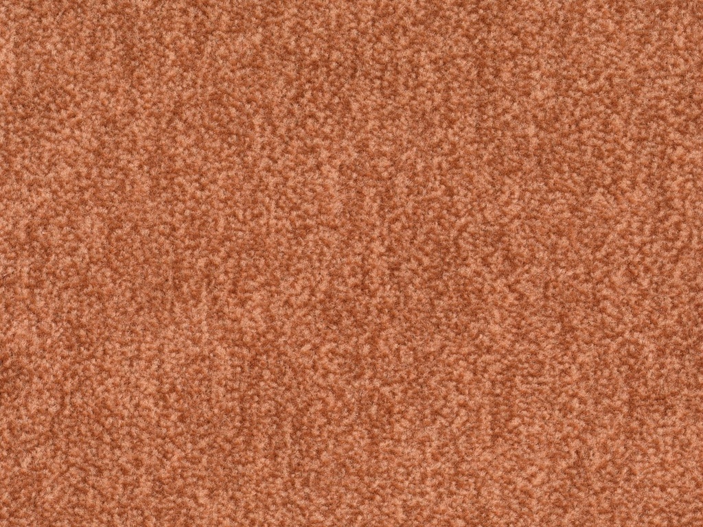 Homeline 27 Tapijt Artus 500cm Kleur 332