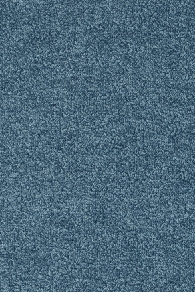Homeline 27 Tapijt Artus 500cm Kleur 764