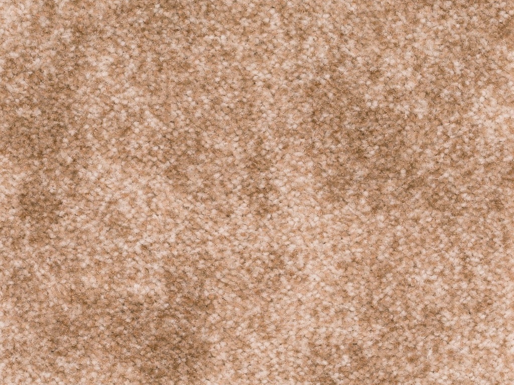 Homeline 27 Tapijt Filio 500 cm Kleur 34