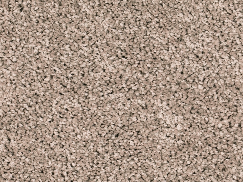 Homeline 27 Tapijt Heres 500 cm Kleur 173