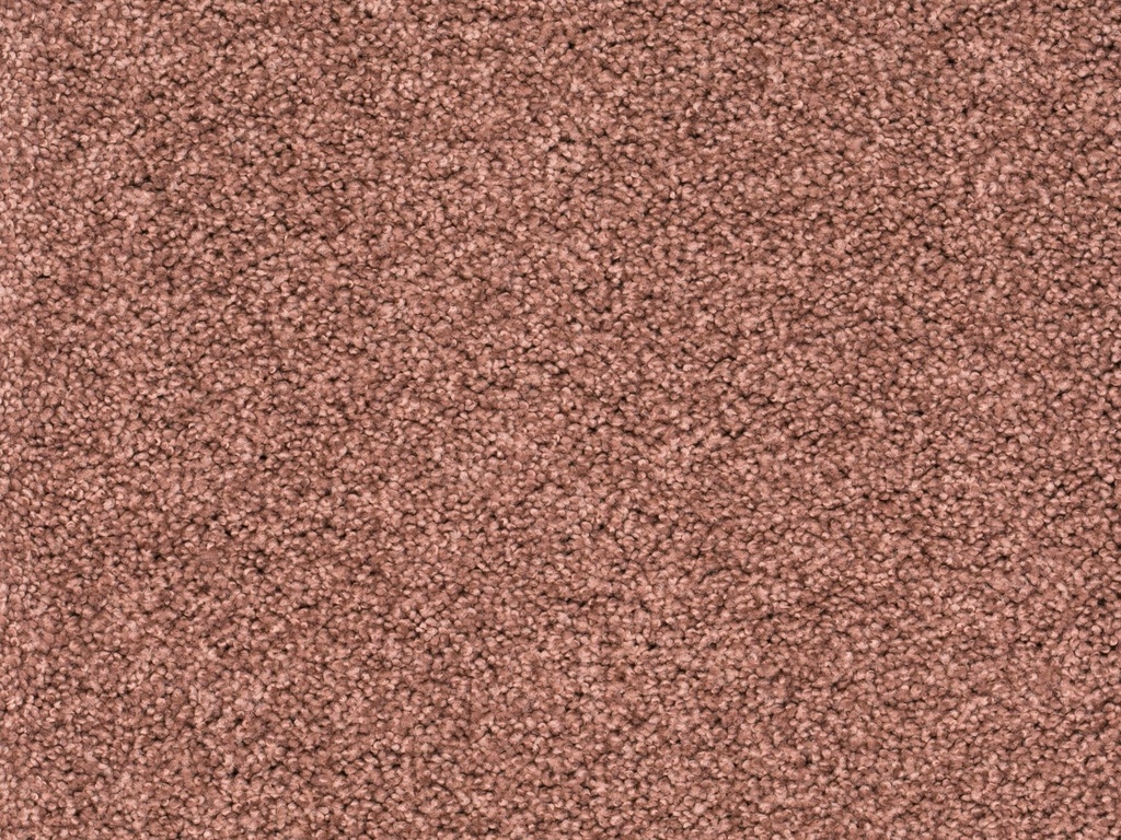 Homeline 27 Tapijt Lord 400 cm Kleur 180