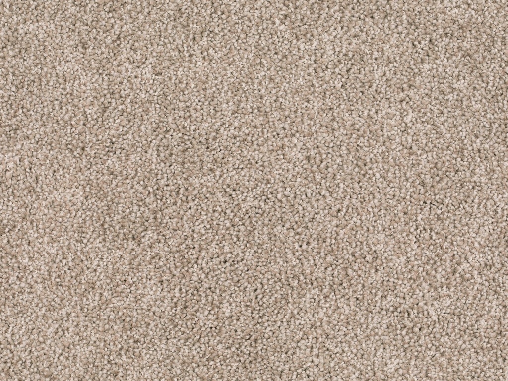 Homeline 27 Tapijt Lord 400 cm Kleur 250