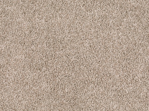 [TEPLORD4_250] Homeline 27 Tapijt Lord 400 cm Kleur 250