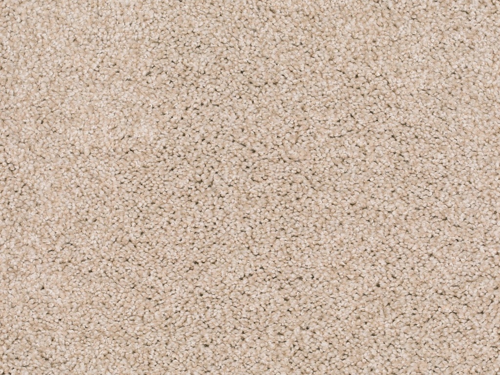 Homeline 27 Tapijt Lord 400 cm Kleur 260