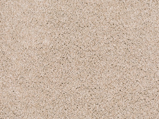 [TEPLORD5_260] Homeline 27 Tapijt Lord 500 cm Kleur 260