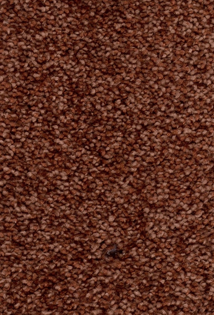 Homeline 27 Tapijt Palia 400 cm Kleur 35