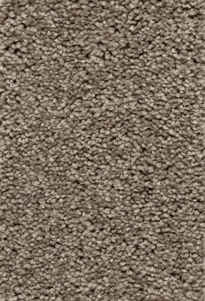 Homeline 27 Tapijt Palia 400 cm Kleur 65