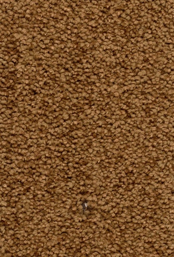 [TEPPALIA5_031] Homeline 27 Tapijt Palia 500 cm Kleur 31