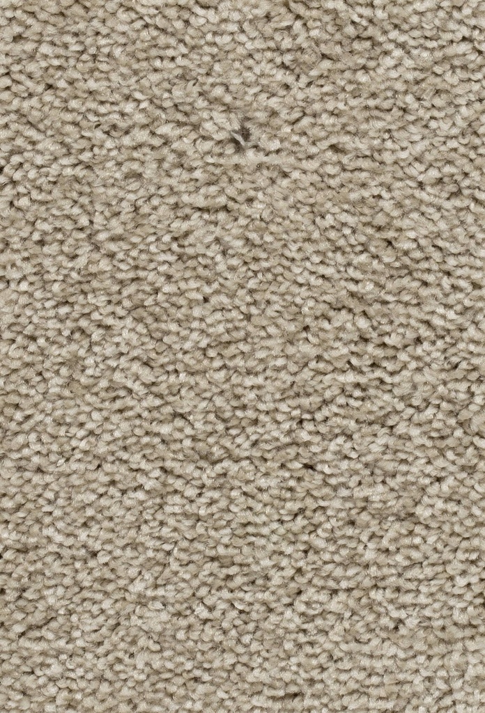 Homeline 27 Tapijt Palia 500 cm Kleur 62