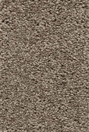[TEPPALIA5_065] Homeline 27 Tapijt Palia 500 cm Kleur 65