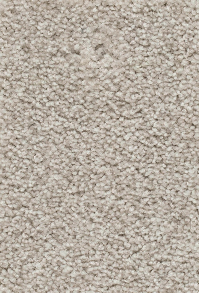 Homeline 27 Tapijt Palia 500 cm Kleur 71