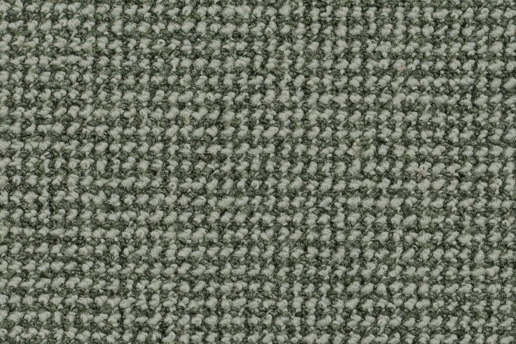 Homeline 27 Tapijt Para 500 cm Kleur 29