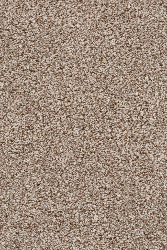 Homeline 27 Tapijt Pilar 400cm Kleur 90